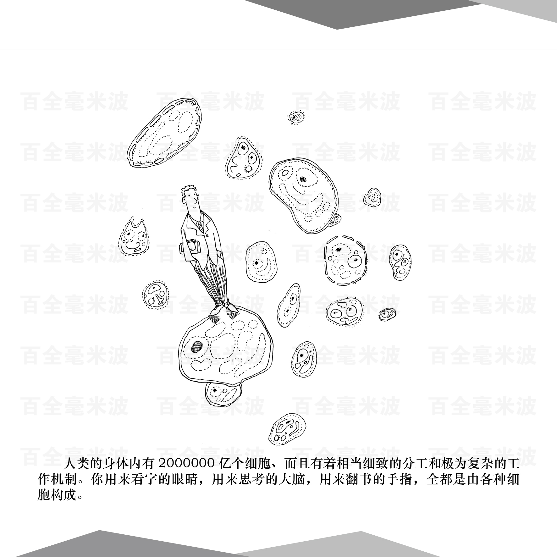 百全毫米波疗法漫画集