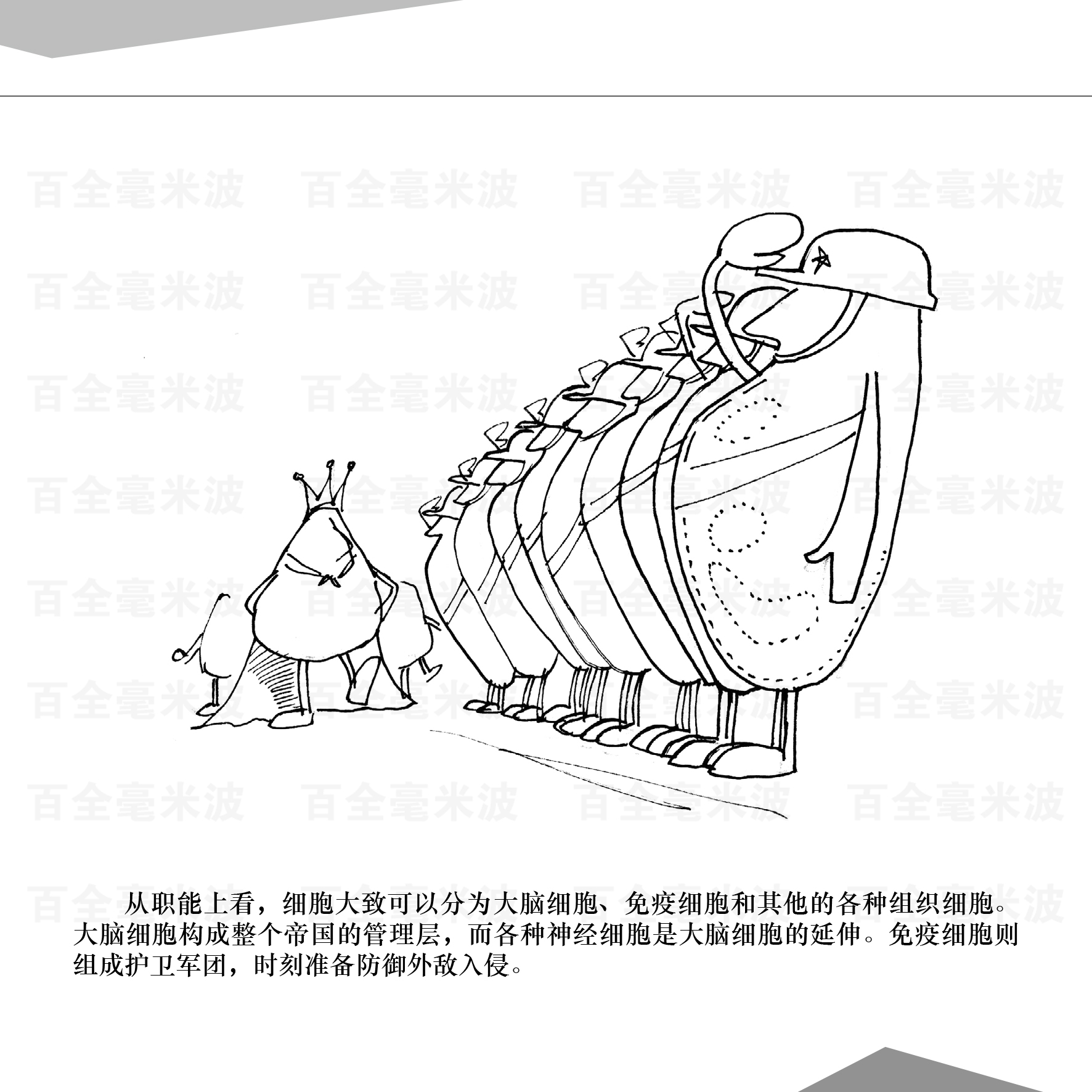 百全毫米波疗法漫画集