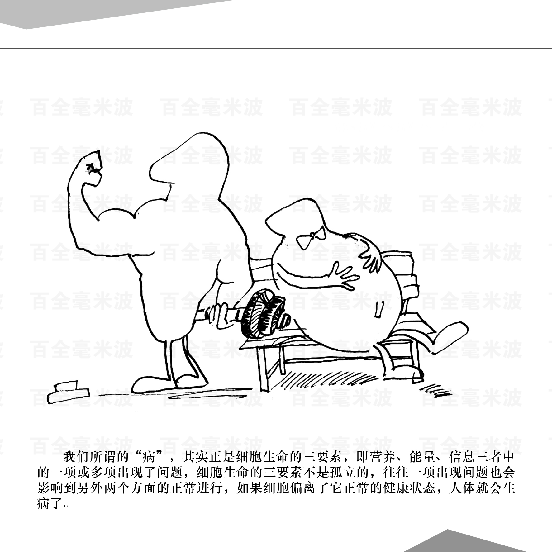 百全毫米波疗法漫画集