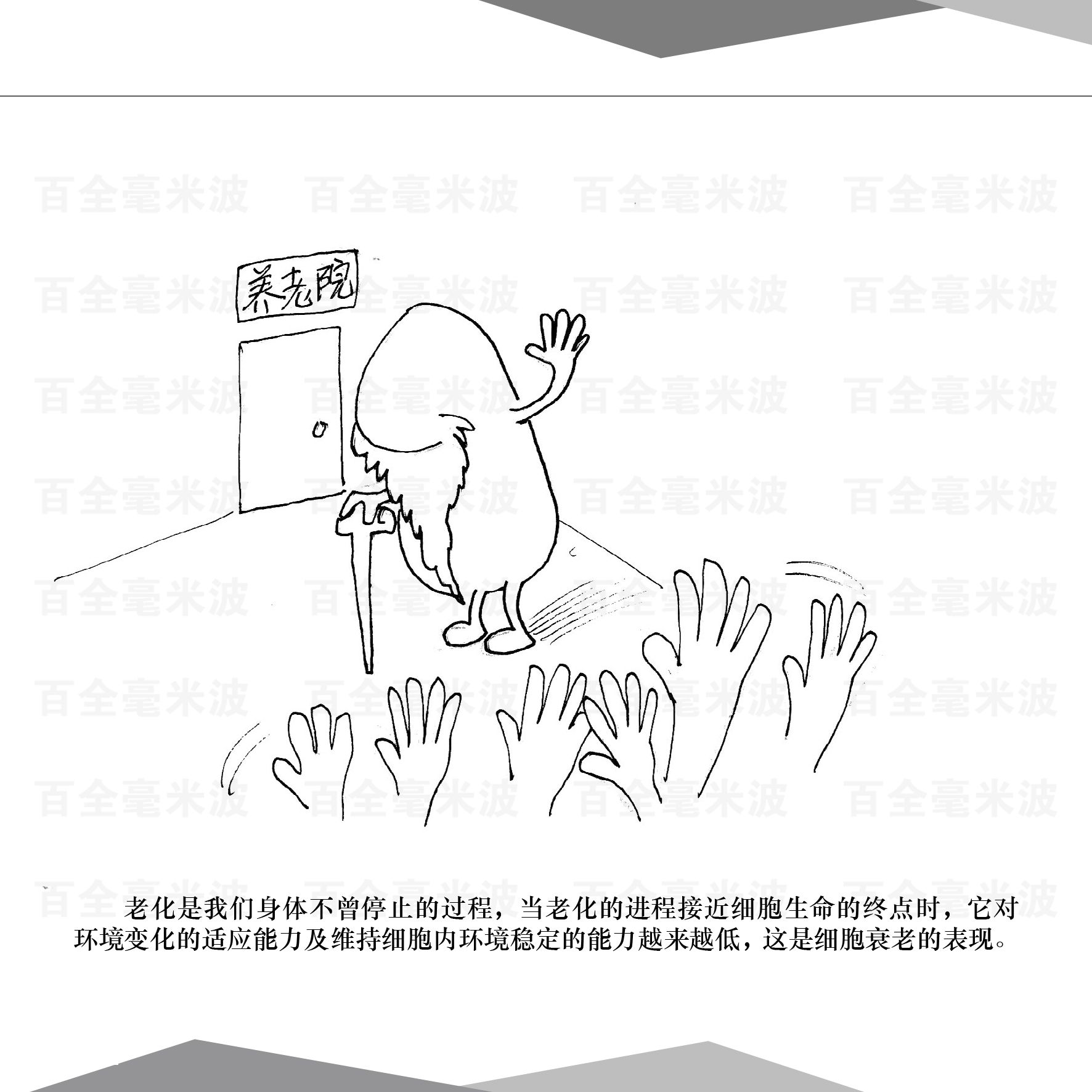 百全毫米波疗法漫画集