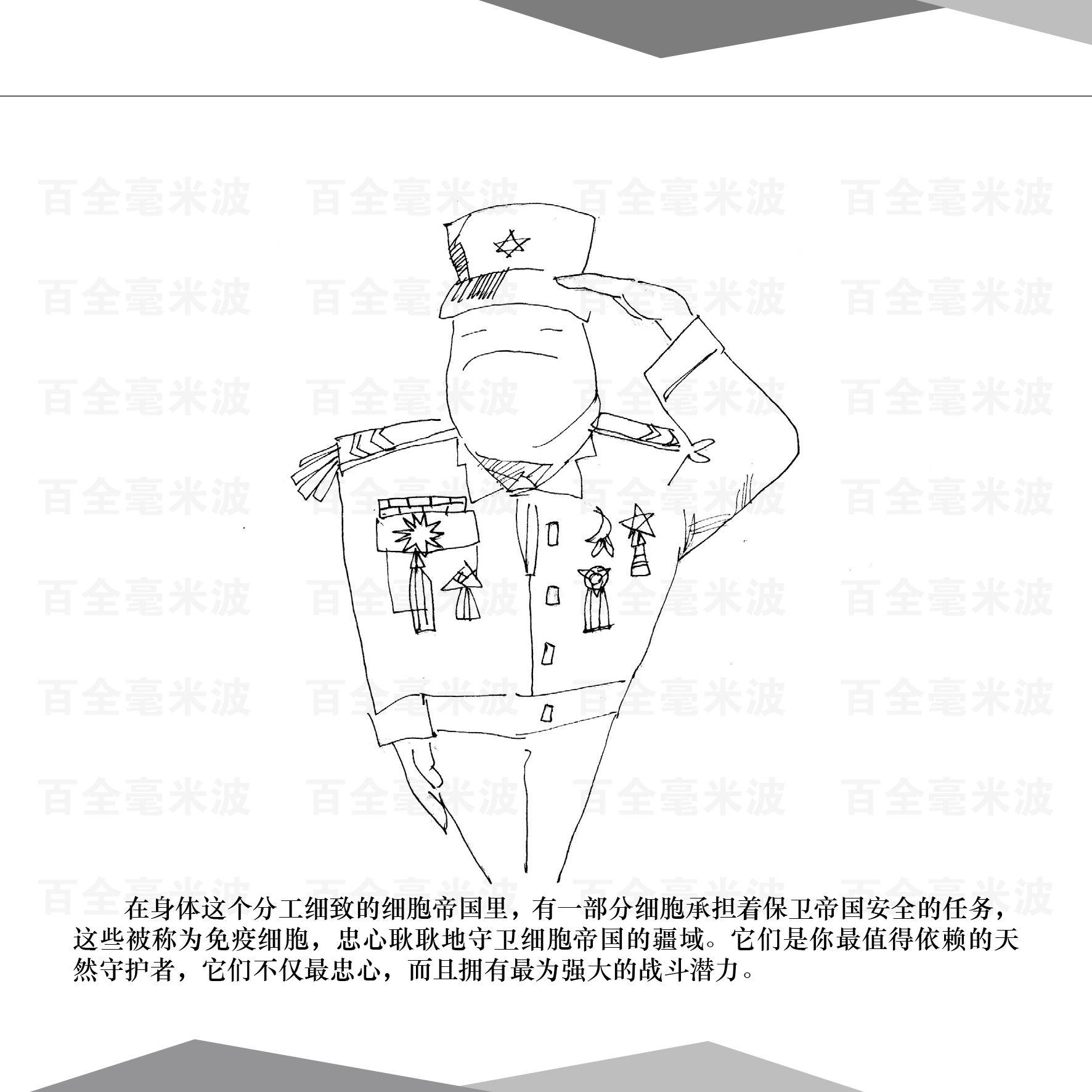 百全毫米波疗法漫画集